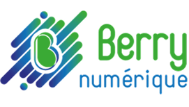 Logotipo de berry